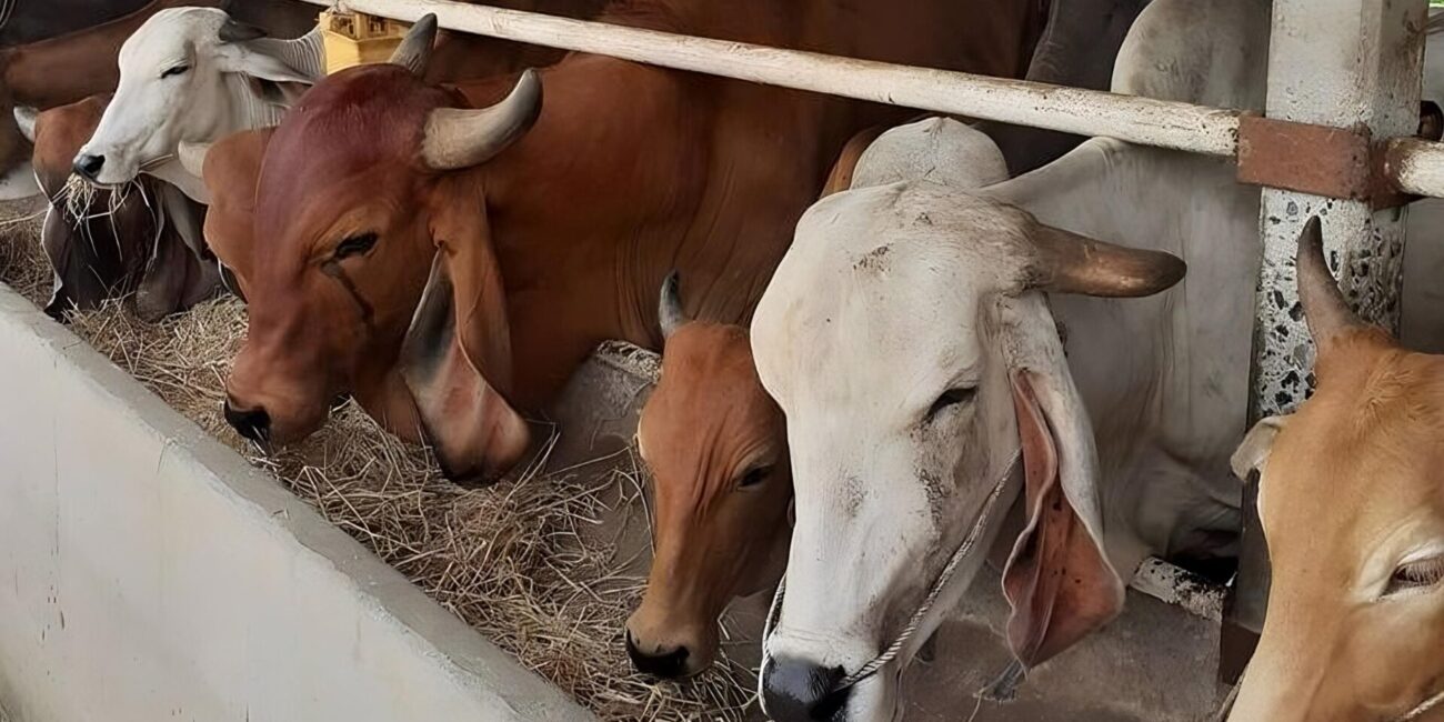 9f2deefee6fce1178e7a059be64154fd-transformed